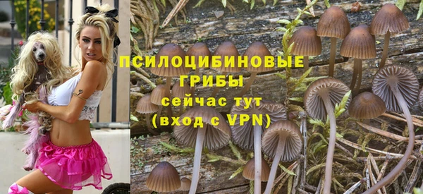 таблы Алзамай