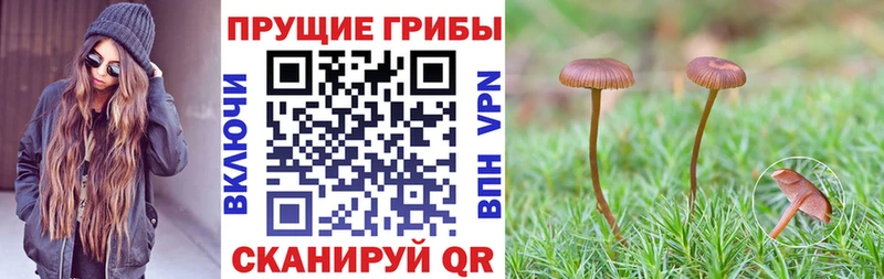 Псилоцибиновые грибы ЛСД  Кологрив 